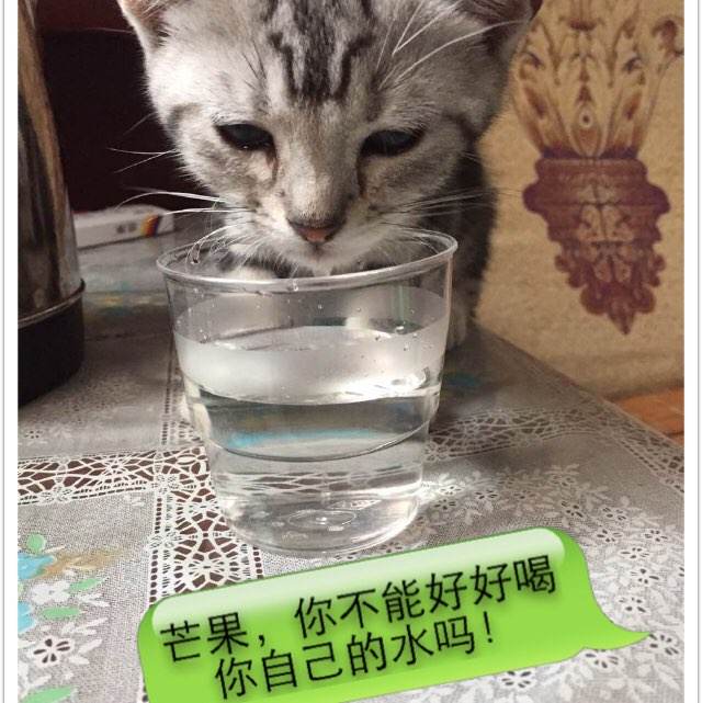 中国传媒大学南广学院学位证办理